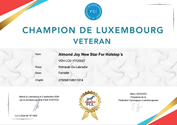 Heidelberg Hills Labradors