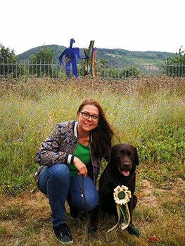 Heidelberg Hills Labradors