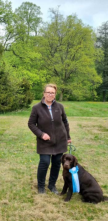 Heidelberg Hills Labradors