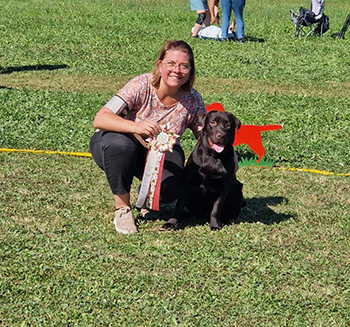 Heidelberg Hills Labradors